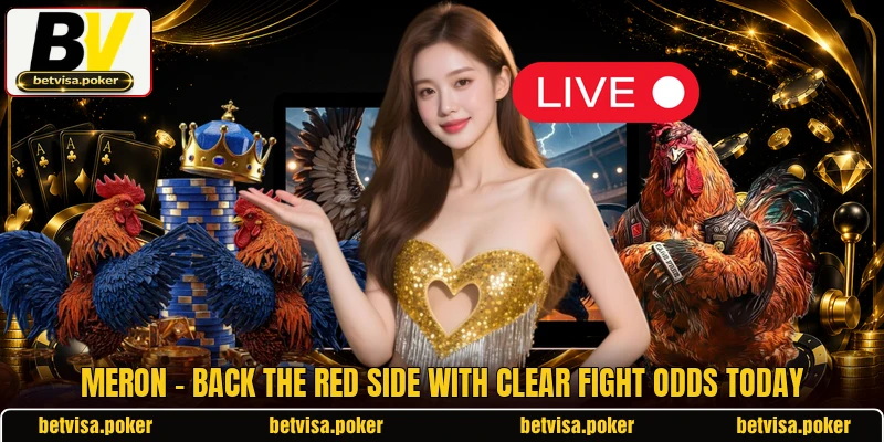 Meron - Back The Red Side With Clear Fight Odds Today