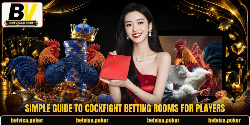 Simple guide to cockfight betting rooms for players Simple guide to cockfight betting rooms for players